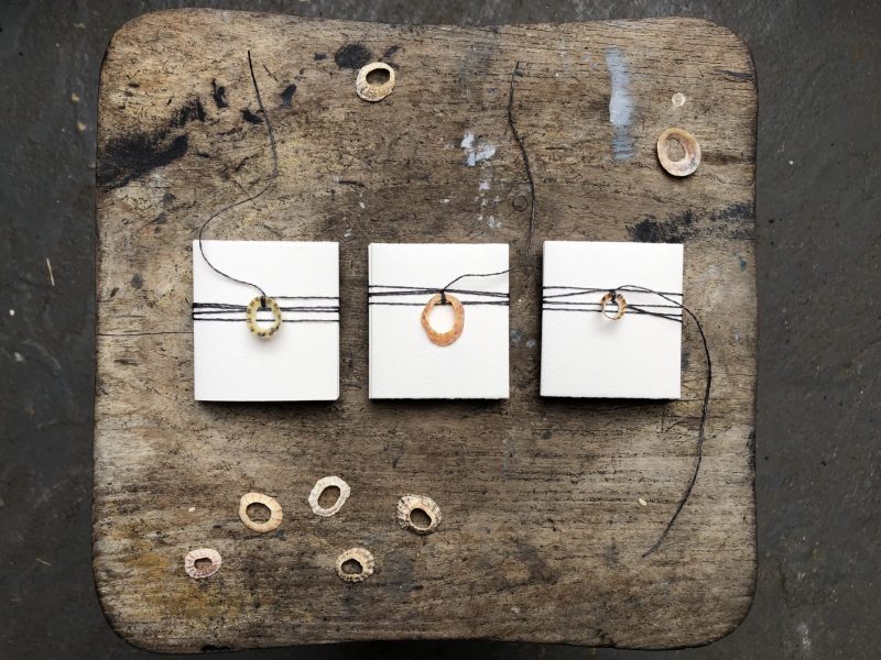 Make a concertina with Rachel Hazell, The Travelling Bookbinder