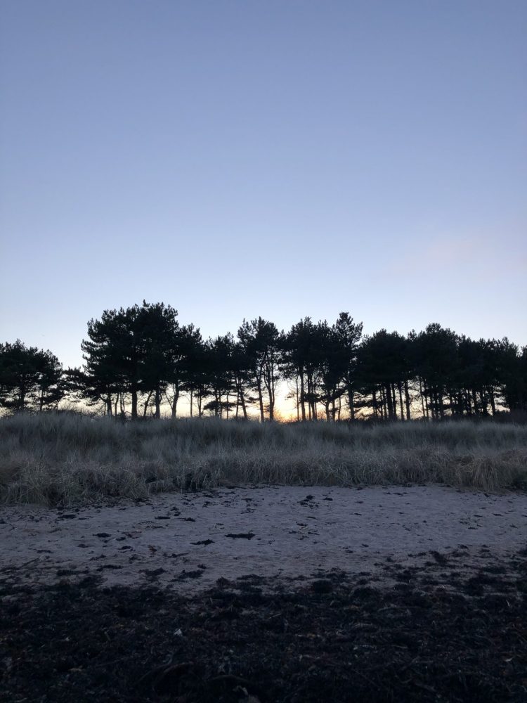 The Travelling Bookbinder film shoot. Evening at Yellowcraigs.