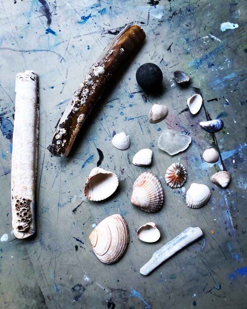 The Travelling Bookbinder film shoot. Beach finds, shell collection