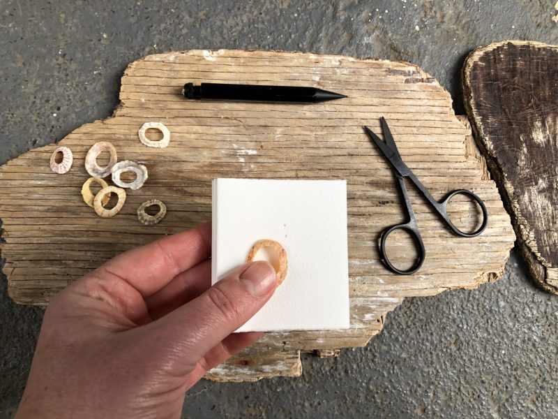 Make a concertina with Rachel Hazell, The Travelling Bookbinder