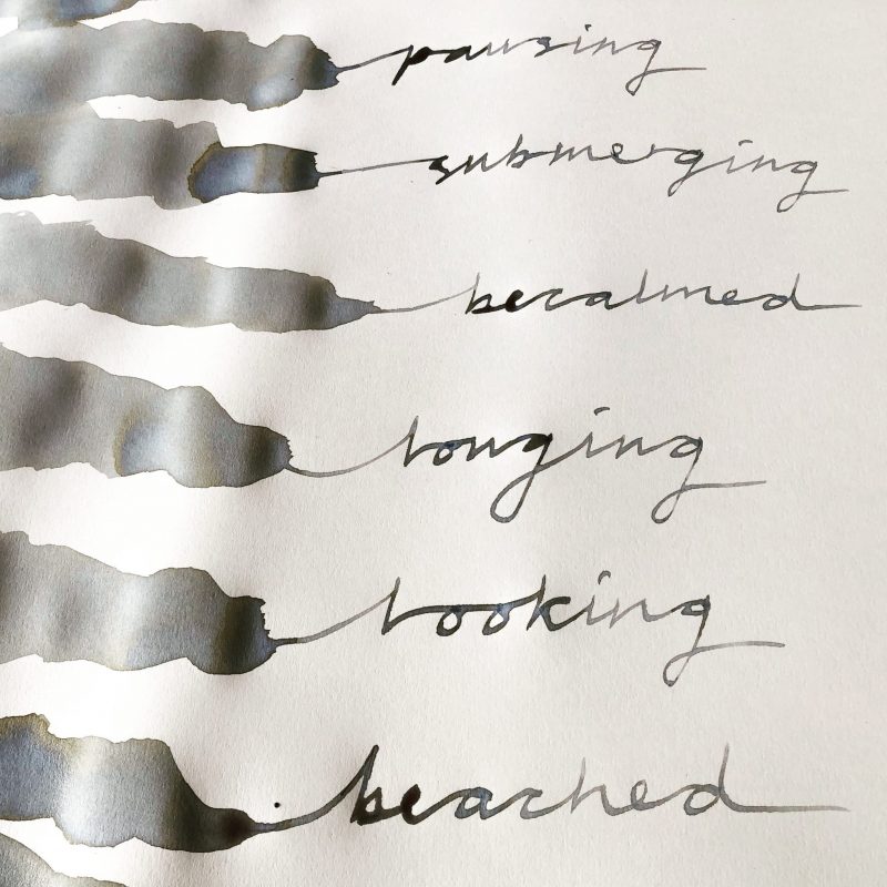 The Travelling Bookbinder: 2023 Preview: June: Own work