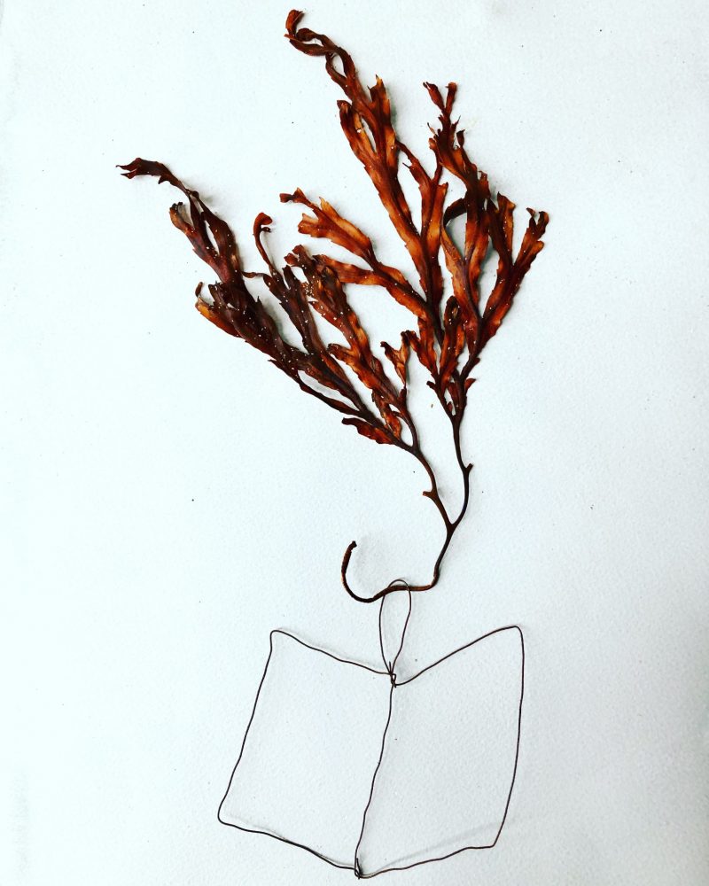 The Travelling Bookbinder: 2020 A Review: Describing creative lockdown