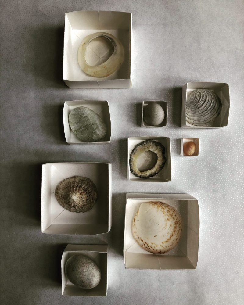 Shell collection, Origami boxes, Rachel Hazell. Island isolation: Creative lockdown.