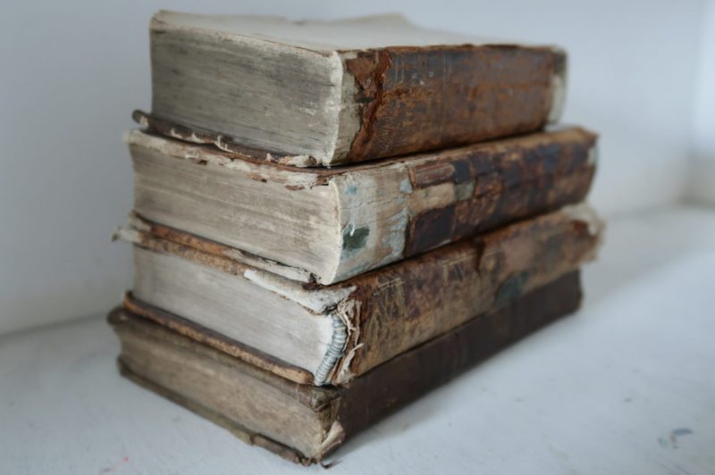 The Travelling Bookbinder, BookLove e-course: Worn spines