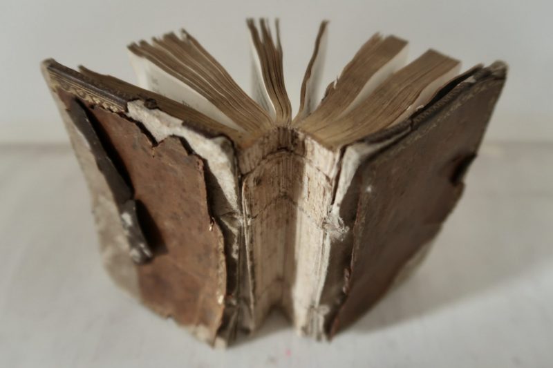 The Travelling Bookbinder, BookLove e-course: Gilt edged pages