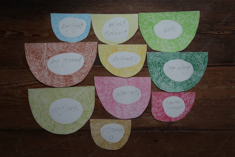 The Travelling Bookbinder: StAnza Bookart: Shades of Spring. Write your original words on the reverse, and add colour