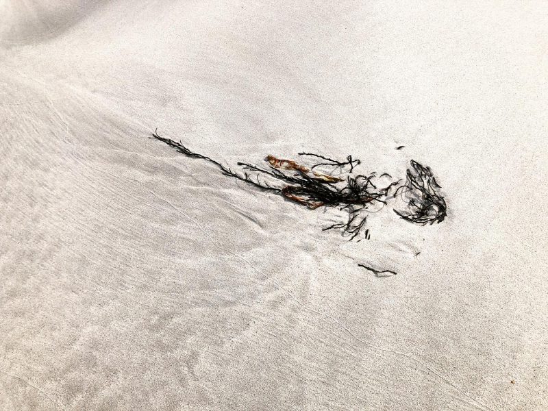 The Travelling Bookbinder: A year in review: 2021: Water Paper Ink: Island life