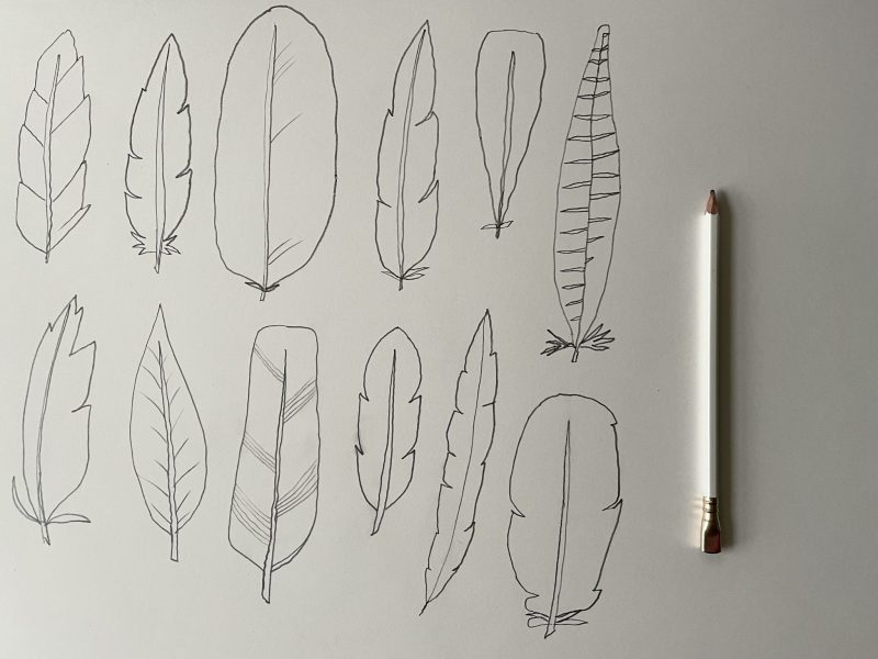 The Travelling Bookbinder: Bookart project: Twelve Gifts: Draw feathers