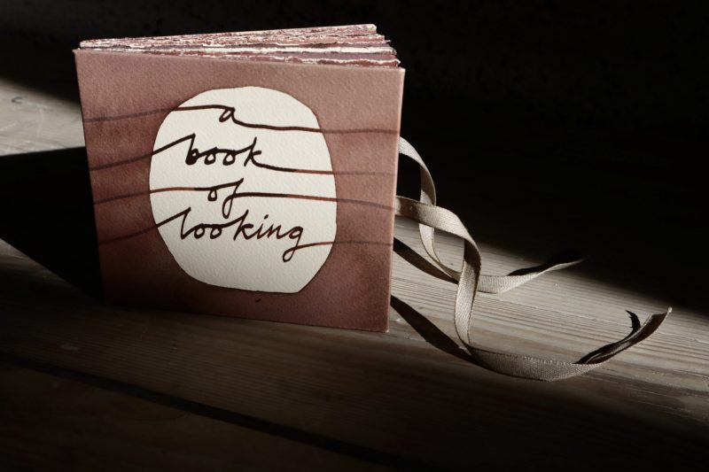 The Travelling Bookbinder: A Book of Looking: BookLove e-course