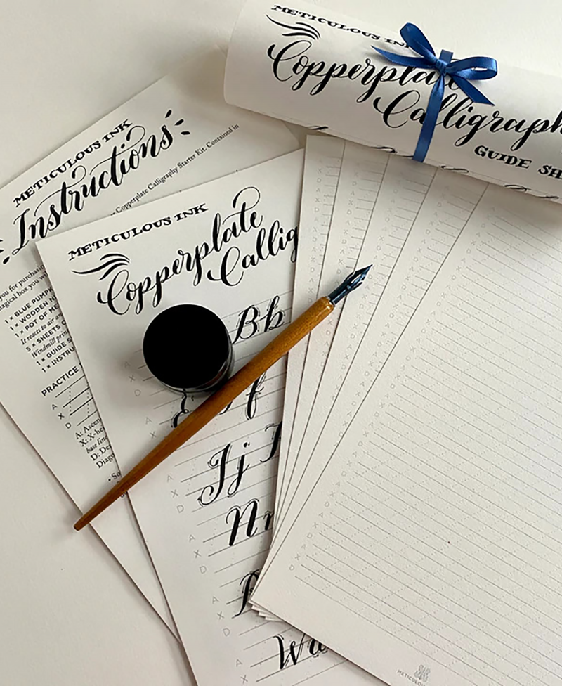 MeticulousInk_portrait72