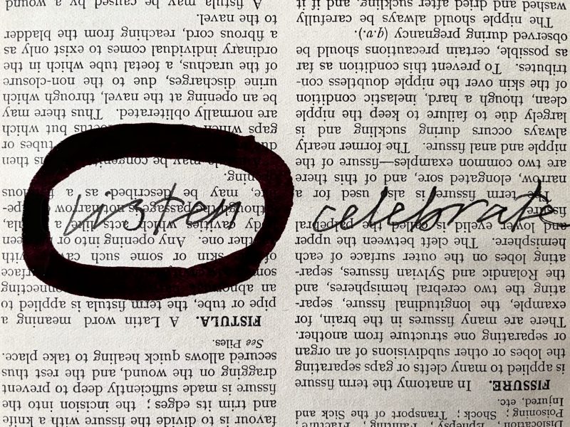 The Travelling Bookbinder: How to project: How to live: Oval around word