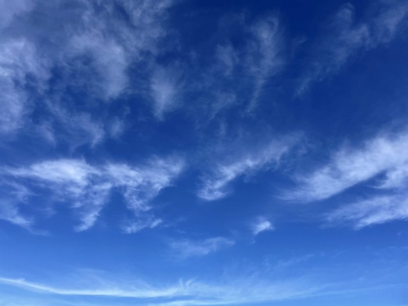 The Travelling Bookbinder: 2023 Preview: May holiday