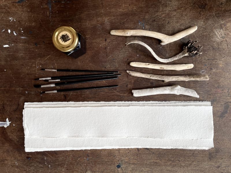 The Travelling Bookbinder: How to Record Sound: Inspired by Cornell Lab's Merlin app: You'll need