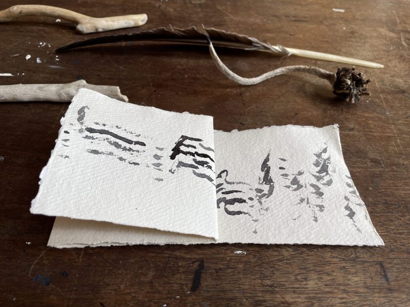 The Travelling Bookbinder: How to Record Sound: Inspired by Cornell Lab's Merlin app: One end folded back on itself