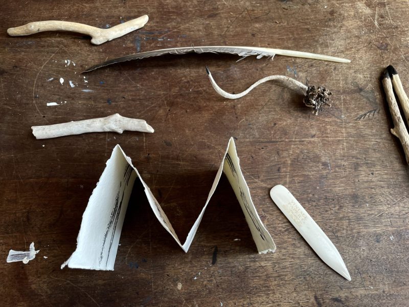 The Travelling Bookbinder: How to Record Sound: Inspired by Cornell Lab's Merlin app: Bird's Eye View