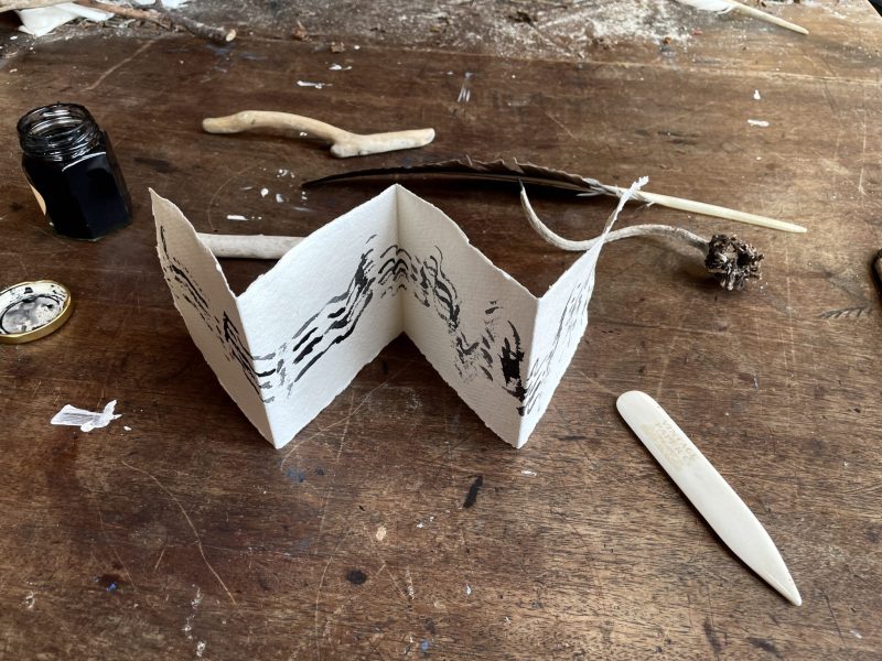 The Travelling Bookbinder: How to Record Sound: Inspired by Cornell Lab's Merlin app: First one finished