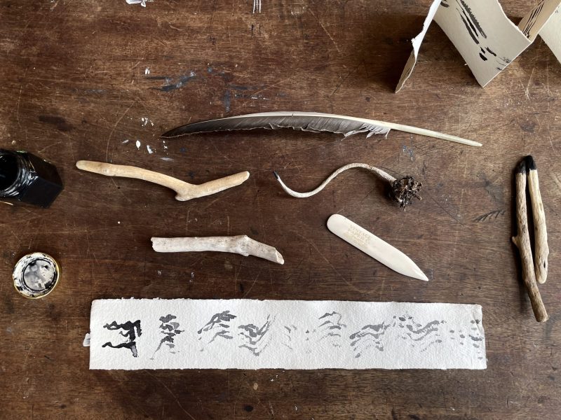 The Travelling Bookbinder: How to Record Sound: Inspired by Cornell Lab's Merlin app: A narrower strip