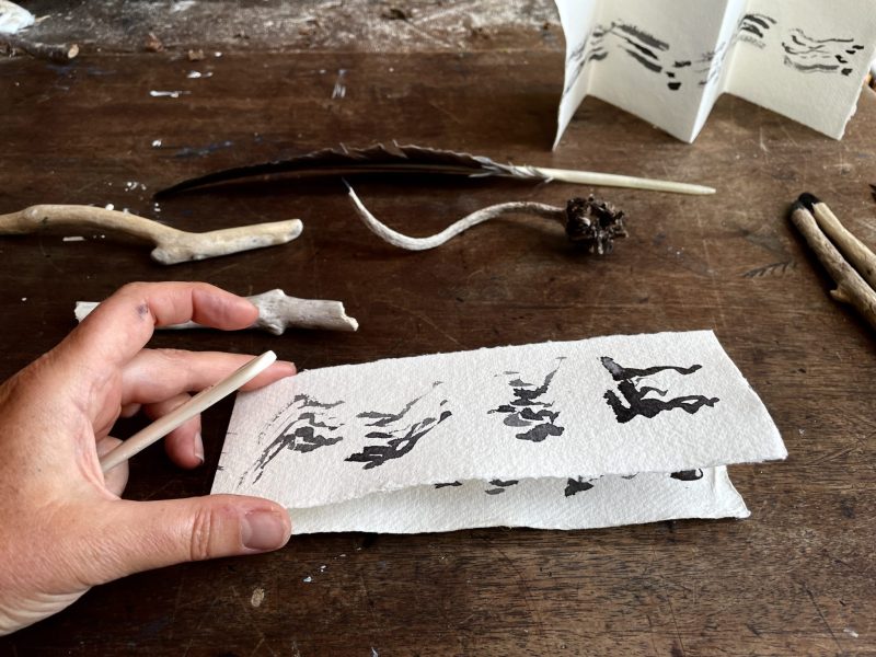 The Travelling Bookbinder: How to Record Sound: Inspired by Cornell Lab's Merlin app: Folding in half