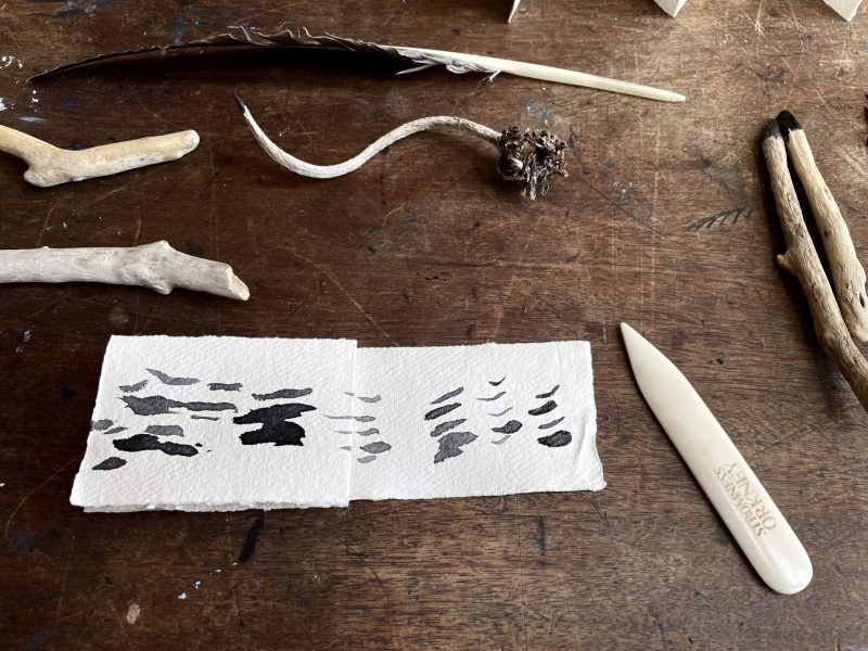 The Travelling Bookbinder: How to Record Sound: Inspired by Cornell Lab's Merlin app: Folding up