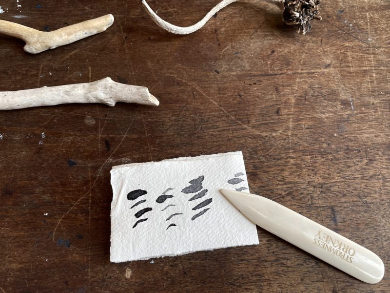 The Travelling Bookbinder: How to Record Sound: Inspired by Cornell Lab's Merlin app: Into quarters