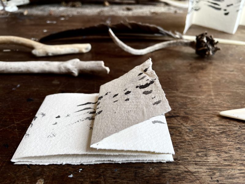 The Travelling Bookbinder: How to Record Sound: Inspired by Cornell Lab's Merlin app: Into eighths