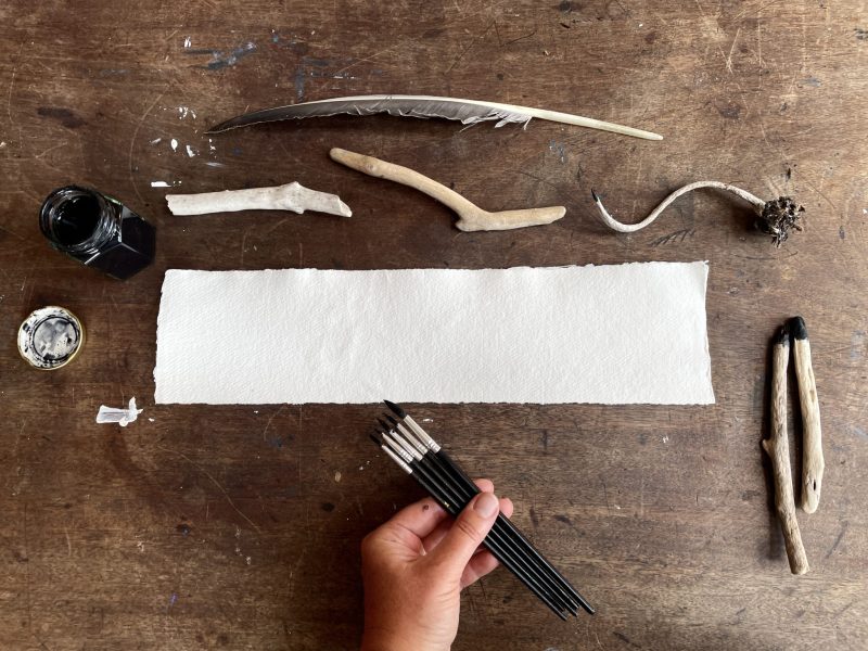 The Travelling Bookbinder: How to Record Sound: Inspired by Cornell Lab's Merlin app: Lining up the brushes