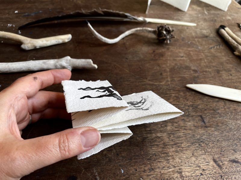 The Travelling Bookbinder: How to Record Sound: Inspired by Cornell Lab's Merlin app: Subdived front and back pages