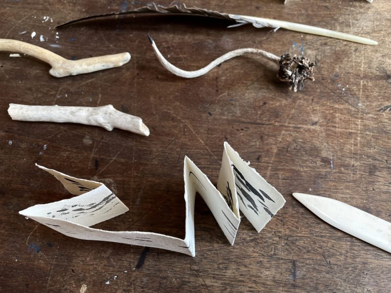 The Travelling Bookbinder: How to Record Sound: Inspired by Cornell Lab's Merlin app: Dividing into eighths