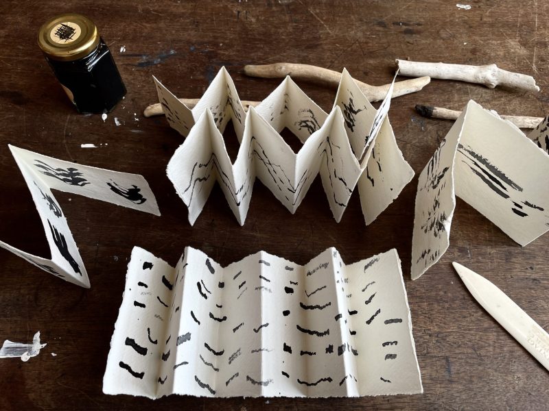 The Travelling Bookbinder: How to Record Sound: Inspired by Cornell Lab's Merlin app: Whole series