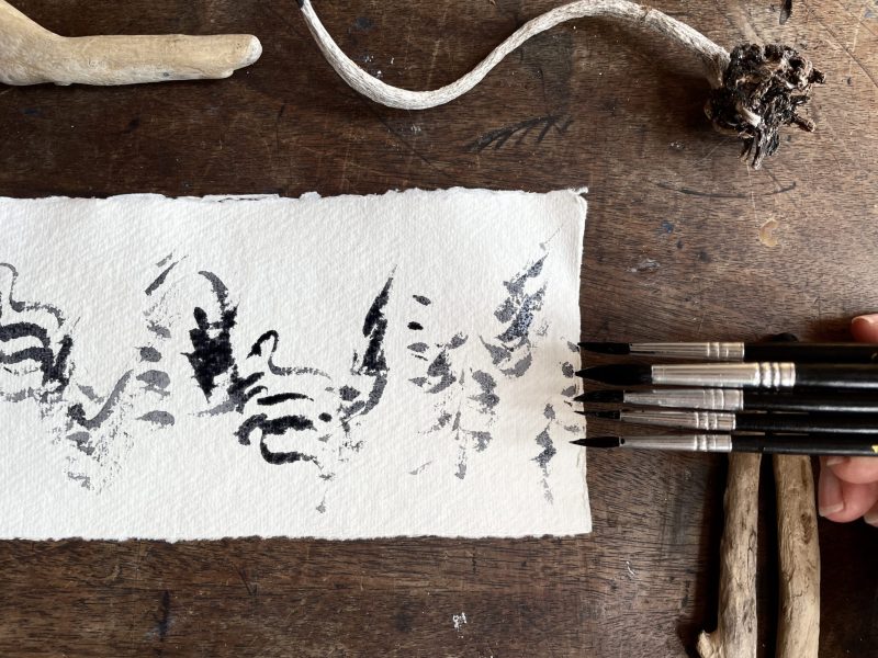 The Travelling Bookbinder: How to Record Sound: Inspired by Cornell Lab's Merlin app: Finishing recording sound