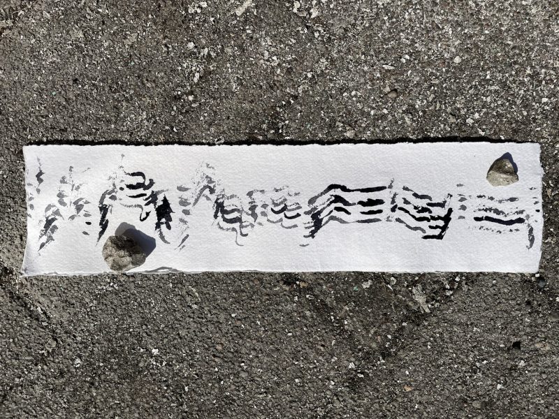 The Travelling Bookbinder: How to Record Sound: Inspired by Cornell Lab's Merlin app: Drying in the sun