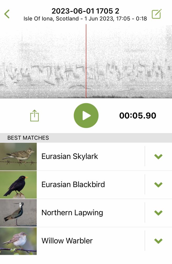 The Travelling Bookbinder: How to record sound: Bookart project: Merlin Bird ID app: The Cornell Lab