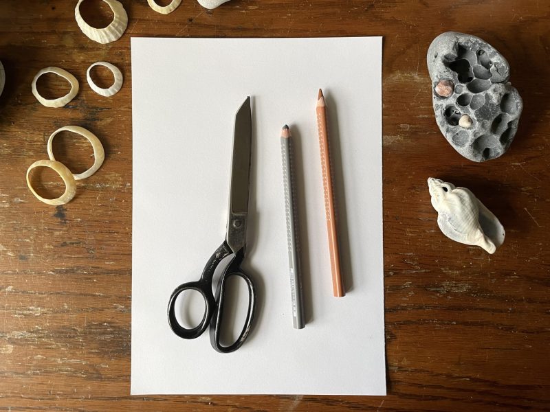 The Travelling Bookbinder: How to: Draw a 360 degrees map: You'll need