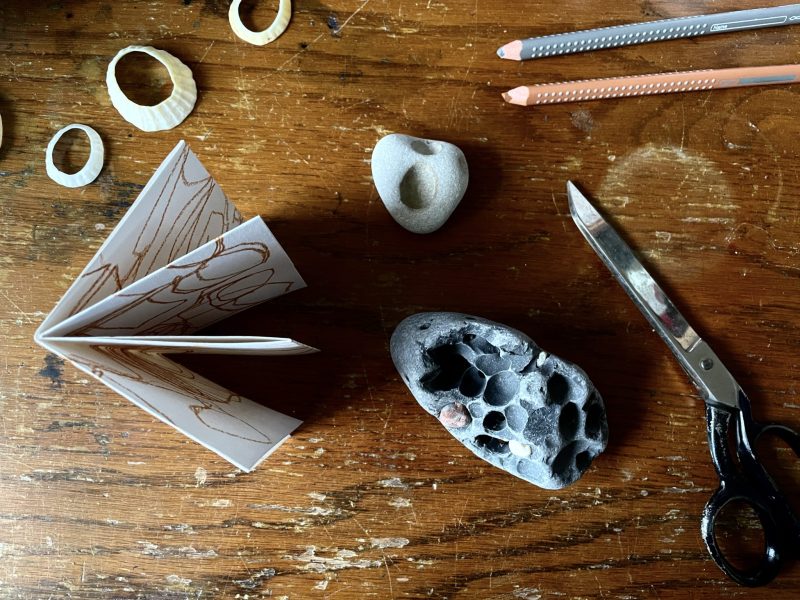 The Travelling Bookbinder: How to: Draw a 360 degrees map: Grounded